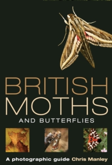Image for British moths and butterflies  : a photographic guide