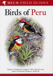 Image for Field Guide to Birds of Peru