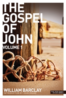 Image for The gospel of JohnVol. 1