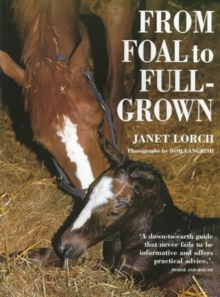 Image for From Foal to Full-Grown