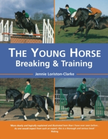Image for The Young Horse