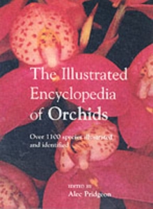Image for The illustrated encyclopedia of orchids