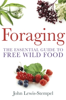 Image for Foraging  : the essential guide to free wild food