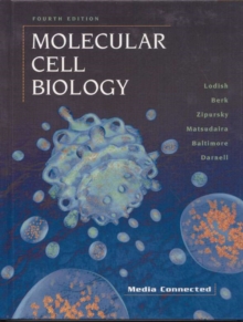 Image for Molecular cell biology