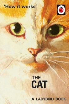 Image for The cat
