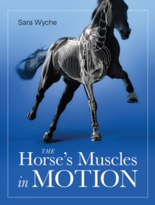 Horse’s Muscles in Motion