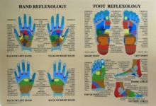 Image for HAND AND FOOT REFLEXOLOGY : A UNIQUE SEL