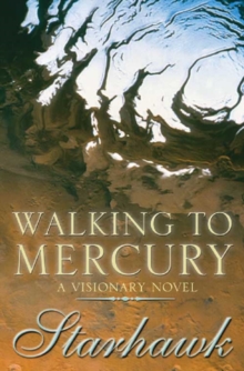 Image for Walking to Mercury  : a visionary novel