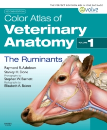 Image for Color Atlas of Veterinary Anatomy
