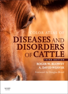 Image for Color Atlas of Diseases and Disorders of Cattle : Color Atlas of Diseases and Disorders of Cattle