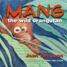 Image for Mang the wild orangutan