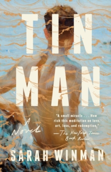 Image for Tin man: a novel