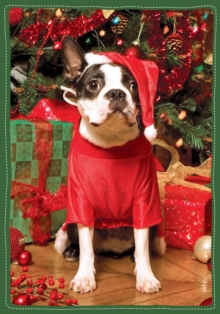 Image for Santa's Little Helper Boxed Holiday Notecards