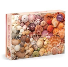 Image for Vibrant Seashells 1000 Piece Puzzle