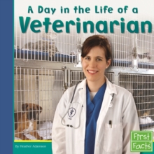 Image for A Day in the Life of a Veterinarian