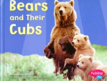 Image for BEARS AND THEIR CUBS