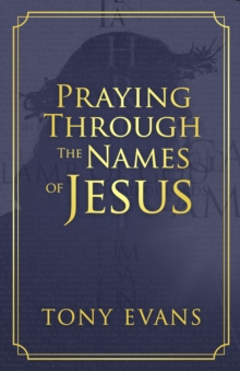 Image for Praying Through the Names of Jesus
