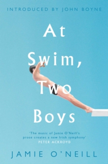 Image for At Swim, Two Boys