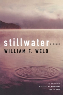 Image for Stillwater: a novel
