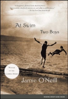 Image for At Swim, Two Boys