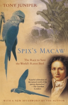 Image for Spix's Macaw : The Race to Save the World's Rarest Bird