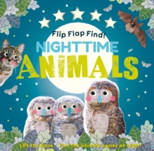 Image for Flip Flap Find! Night-time Animals