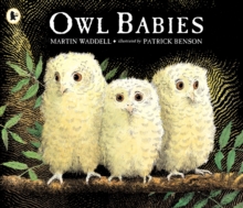 Image for Owl babies