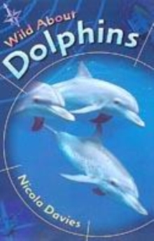 Image for WILD ABOUT DOLPHINS
