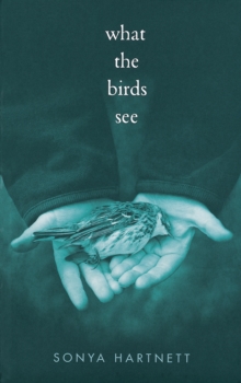 Image for What the Birds See