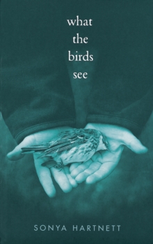 What the Birds See