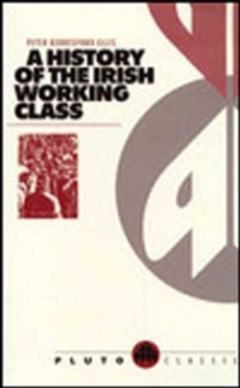 Image for A History of the Irish Working Class