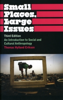 Image for Small places, large issues  : an introduction to social and cultural anthropology