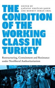 Image for The condition of the working class in Turkey  : labour under neoliberal authoritarianism