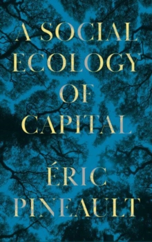 Image for A social ecology of capital