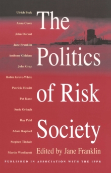Image for The Politics of Risk Society