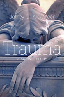 Image for Trauma  : a social theory