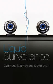 Image for Liquid surveillance: a conversation