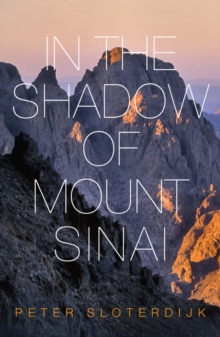 Image for In The Shadow of Mount Sinai