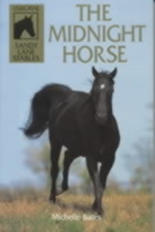 Image for The midnight horse