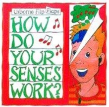 Image for How Do Your Senses Work?