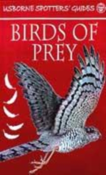 Image for Spotter's guide to birds of prey