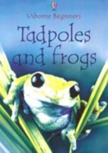 Image for Tadpoles and frogs