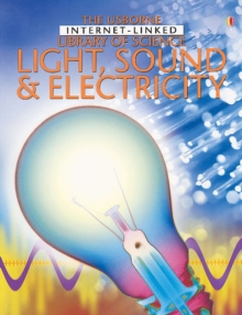 Image for Light Sound and Electricity
