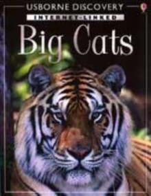 Image for Big cats
