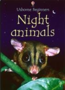 Image for Night animals