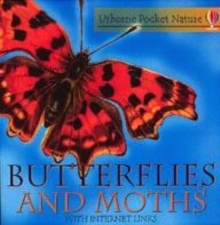 Image for Butterflies and Moths