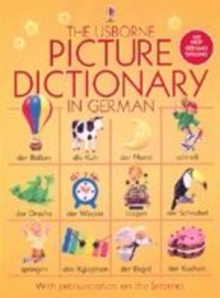 Image for The Usborne picture dictionary in German