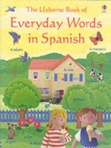 Image for The Usborne book of everyday words in Spanish