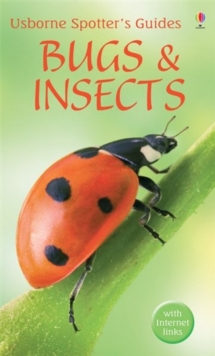 Image for Bugs & insects