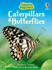 Image for Caterpillars and Butterflies